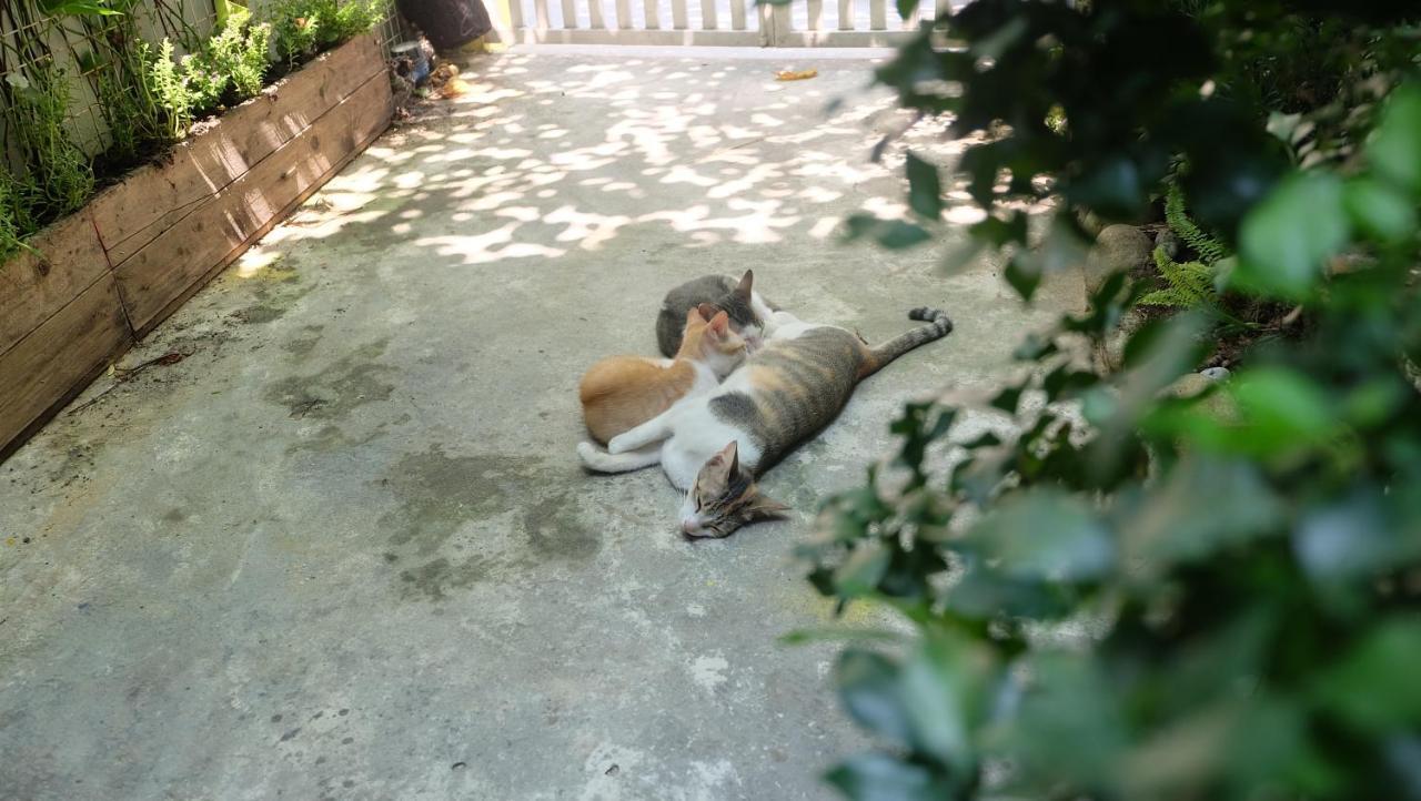 Nha Homestay ダナン市 エクステリア 写真