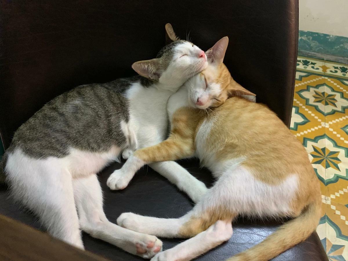 Nha Homestay ダナン市 エクステリア 写真